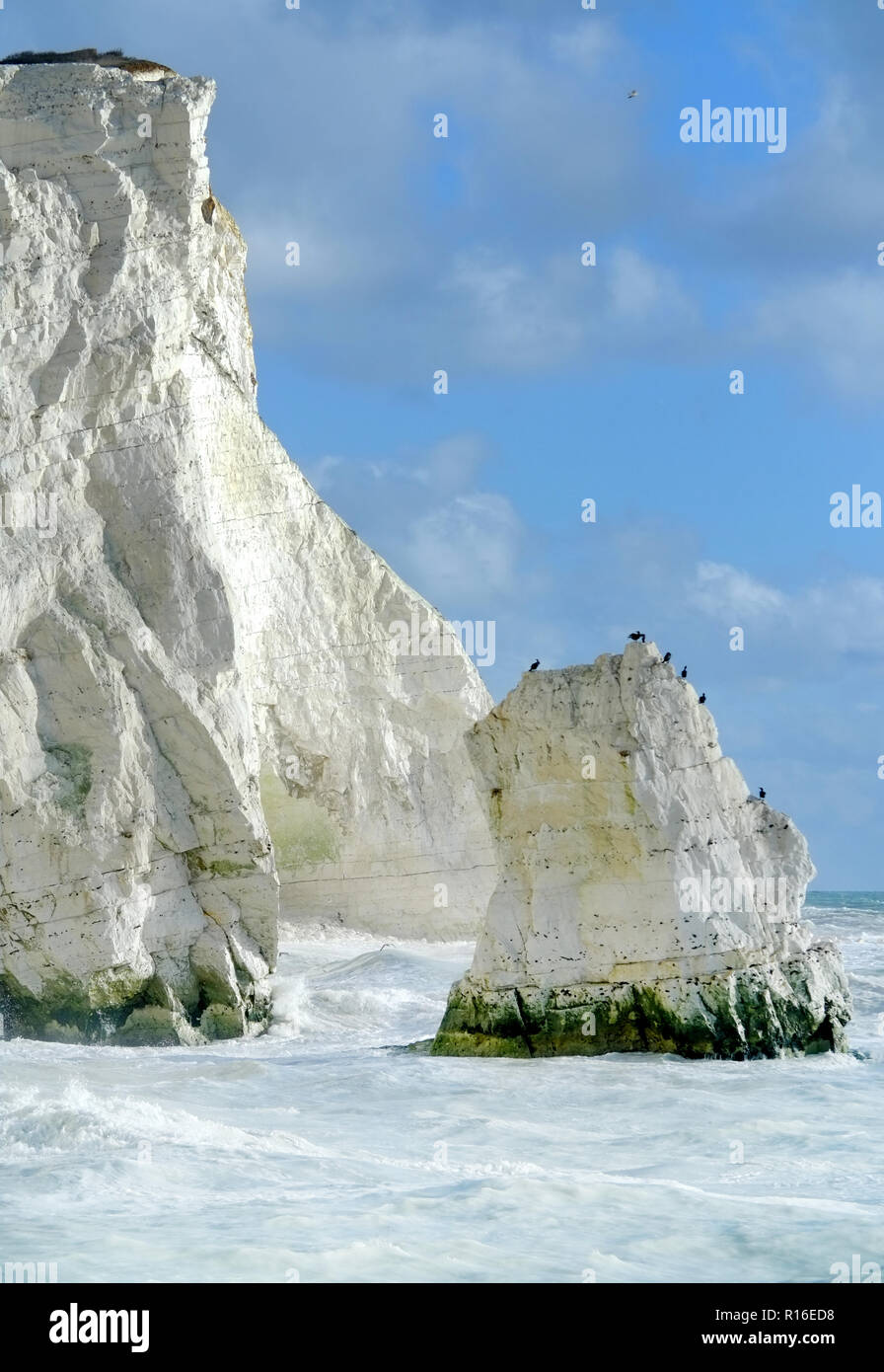 Seaford. East Sussex, UK. 9th November 2018. Chalky white water surrounds the chalk cliffs of Seaford Head, East Sussex. The milky colour is created by rough seas stirring up dissolved chalk from recent cliff falls. Credit: Peter Cripps/Alamy Live News Stock Photo