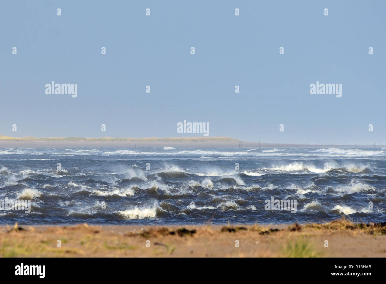 St Andrews, Scotland, United Kingdom. 09th Nov, 2018. Strong south-easterly winds blow the tops off waves breaking over the sandbar at the mouth of the Eden Estuary. Credit: Ken Jack/Alamy Live News Stock Photo