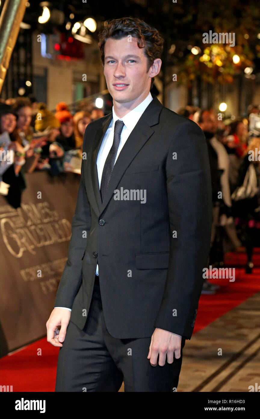 Callum Turner attending the 'Fantastic Beasts: The Crimes Of Grindelwald' World Premiere at UGC Cine Cite Bercy on November 8, 2018 in Paris, France. Stock Photo