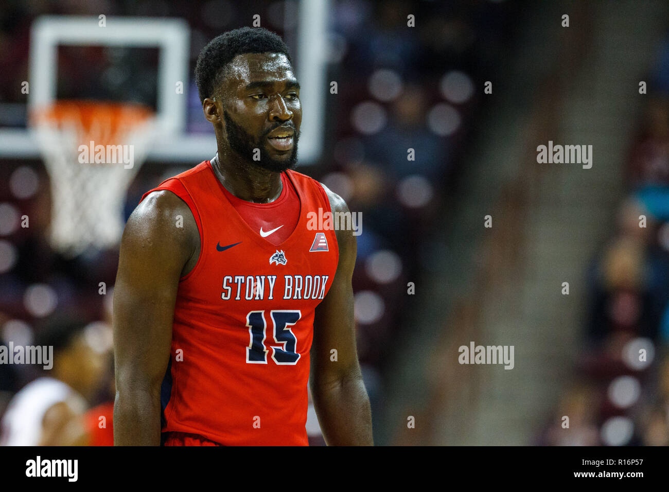 Columbia Sc Usa 9th Nov 2018 Stony Brook Seawolves Guard