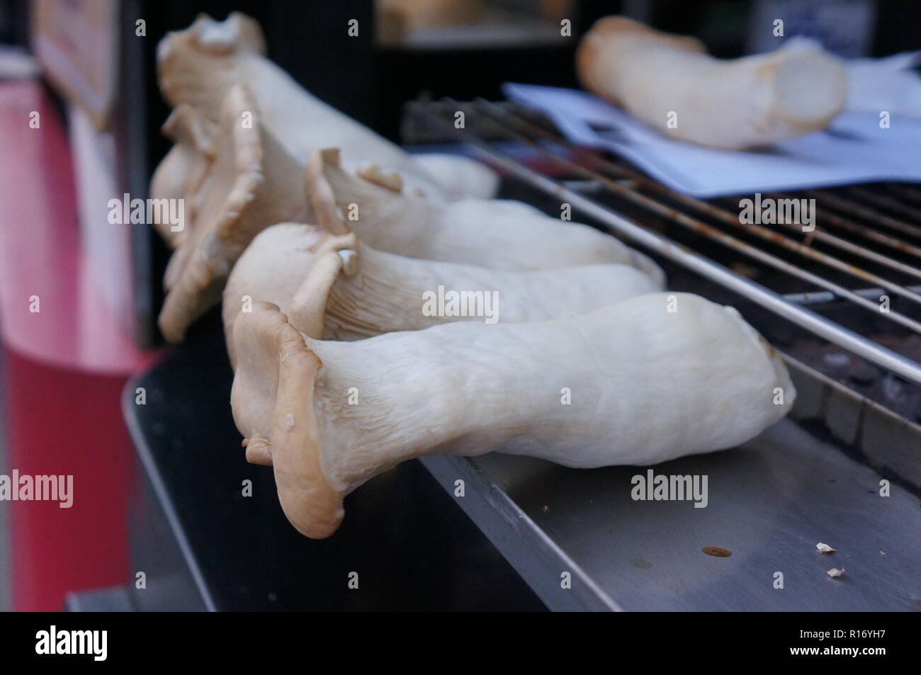 charcoal grill king oyster mushroom Stock Photo Alamy