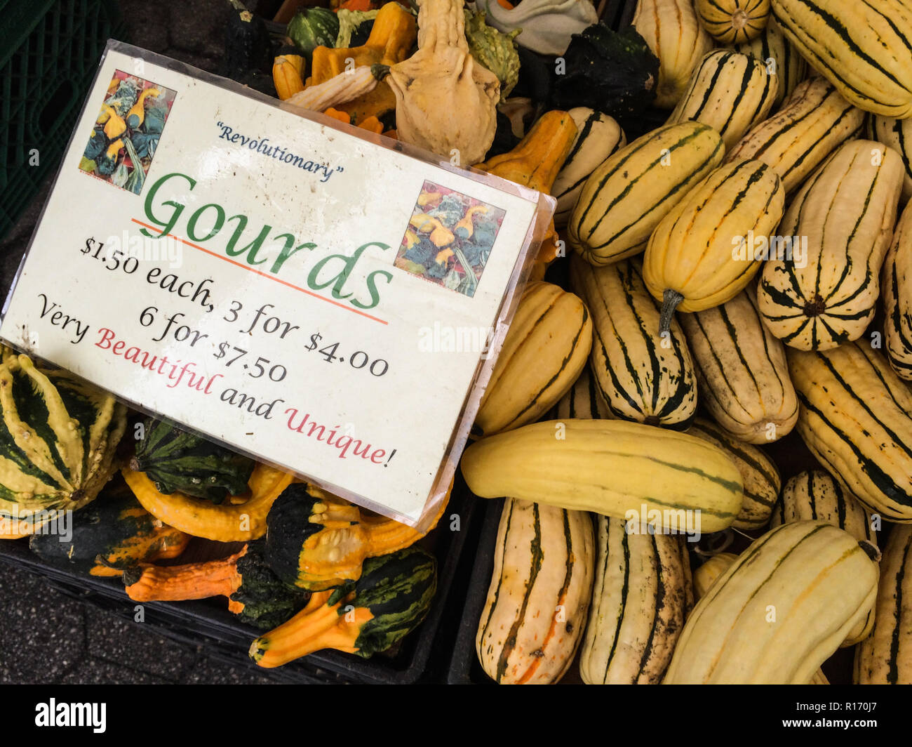 Decorative Gourds at farmers Market on Union Square New York Stock Photo