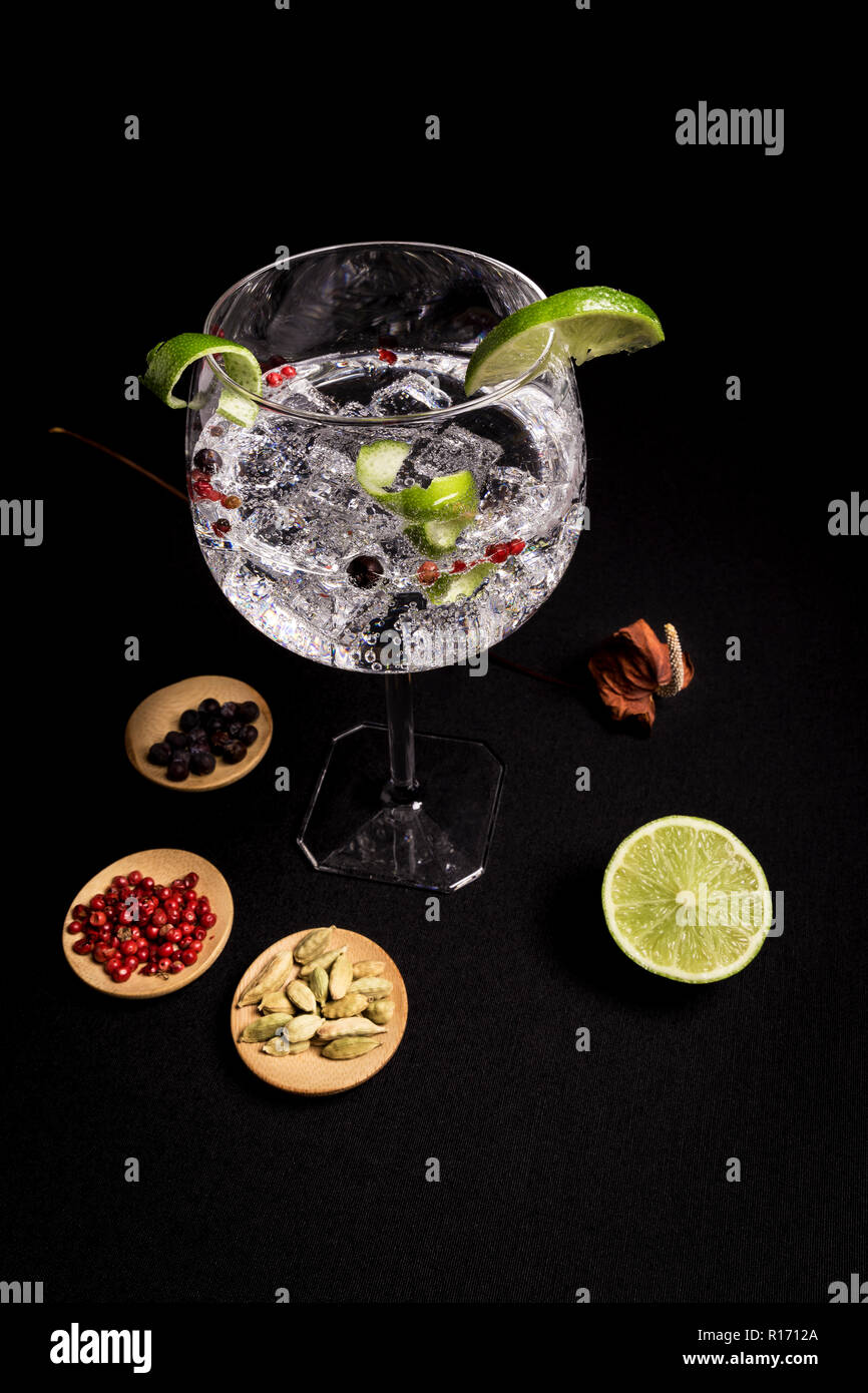 tasty and fresh gin and tonic cocktail on a black background next to