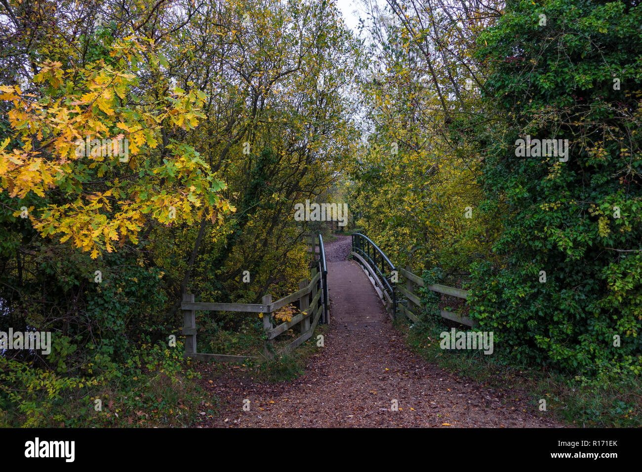 Footpath over bridge autumn in Milton Park Cambridge Cambridgeshire Stock Photo