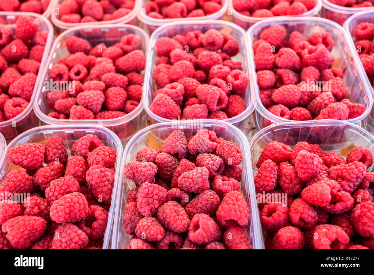 Raspberries plant fresh fruits hi-res stock photography and images - Alamy