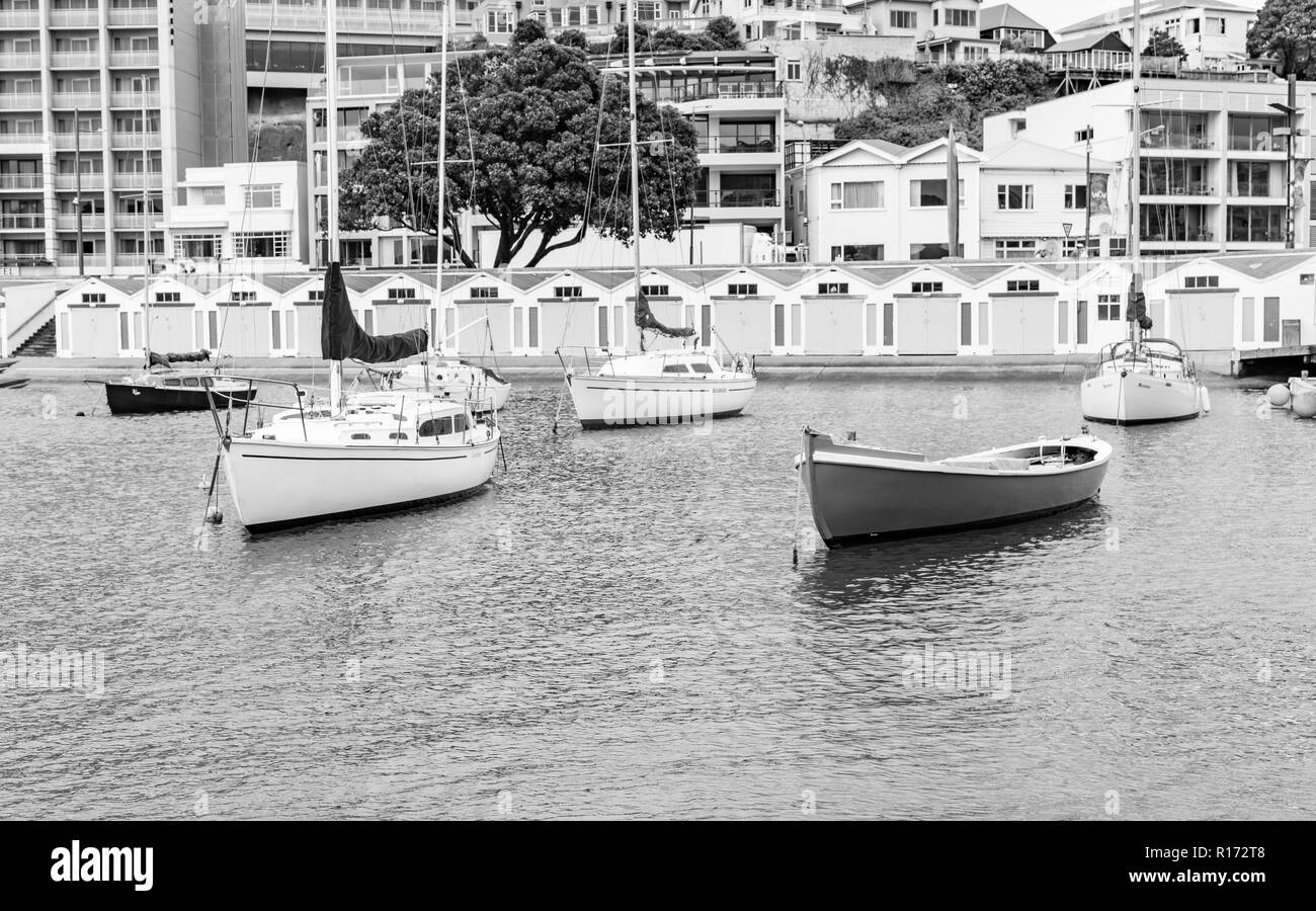 WELLINGTON NEW ZEALAND   OCTOBER 1 2018; Wellington, Oriental Bay boatsheds in monochrome and moored boats Stock Photo