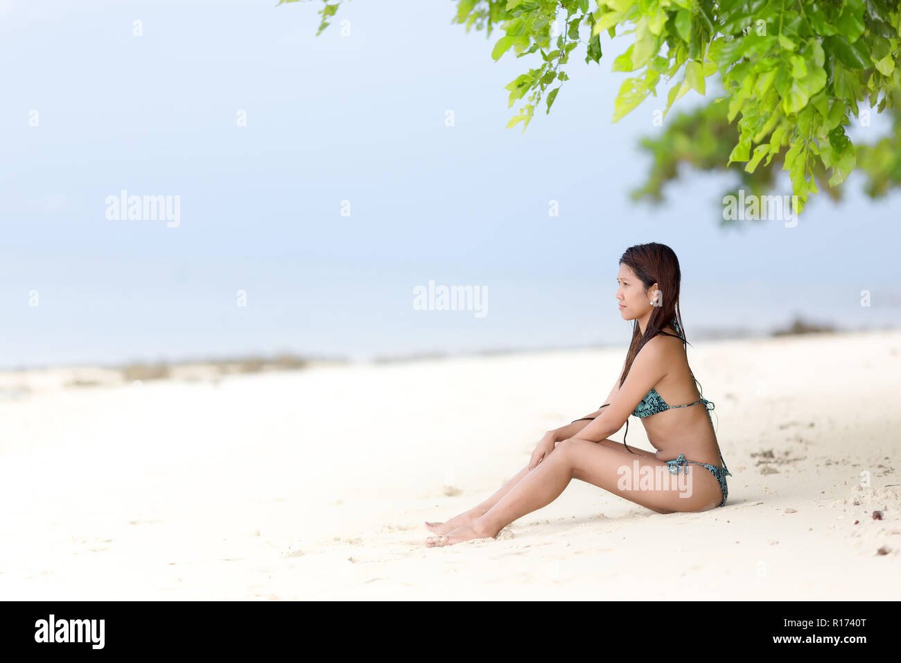 Beautiful Filipina woman sitting in her bikini on a tropical beach in her bikini on the golden sand in the shade of a green leafy tree looking out tow Stock Photo