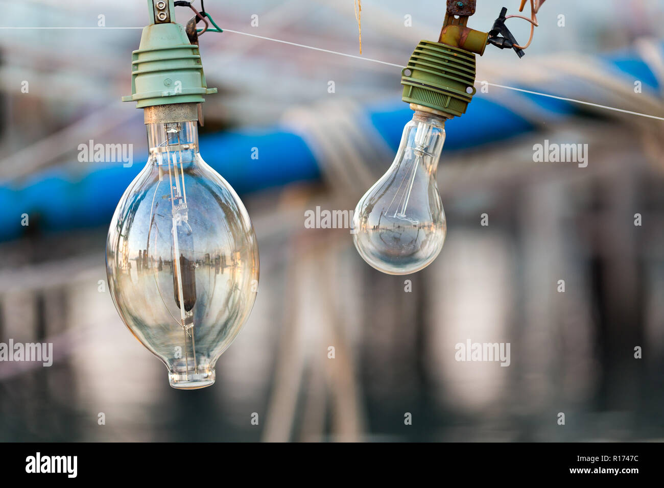 https://c8.alamy.com/comp/R1747C/squid-fishing-boat-light-bulb-this-i-use-at-night-to-attract-the-animals-at-the-water-surface-R1747C.jpg