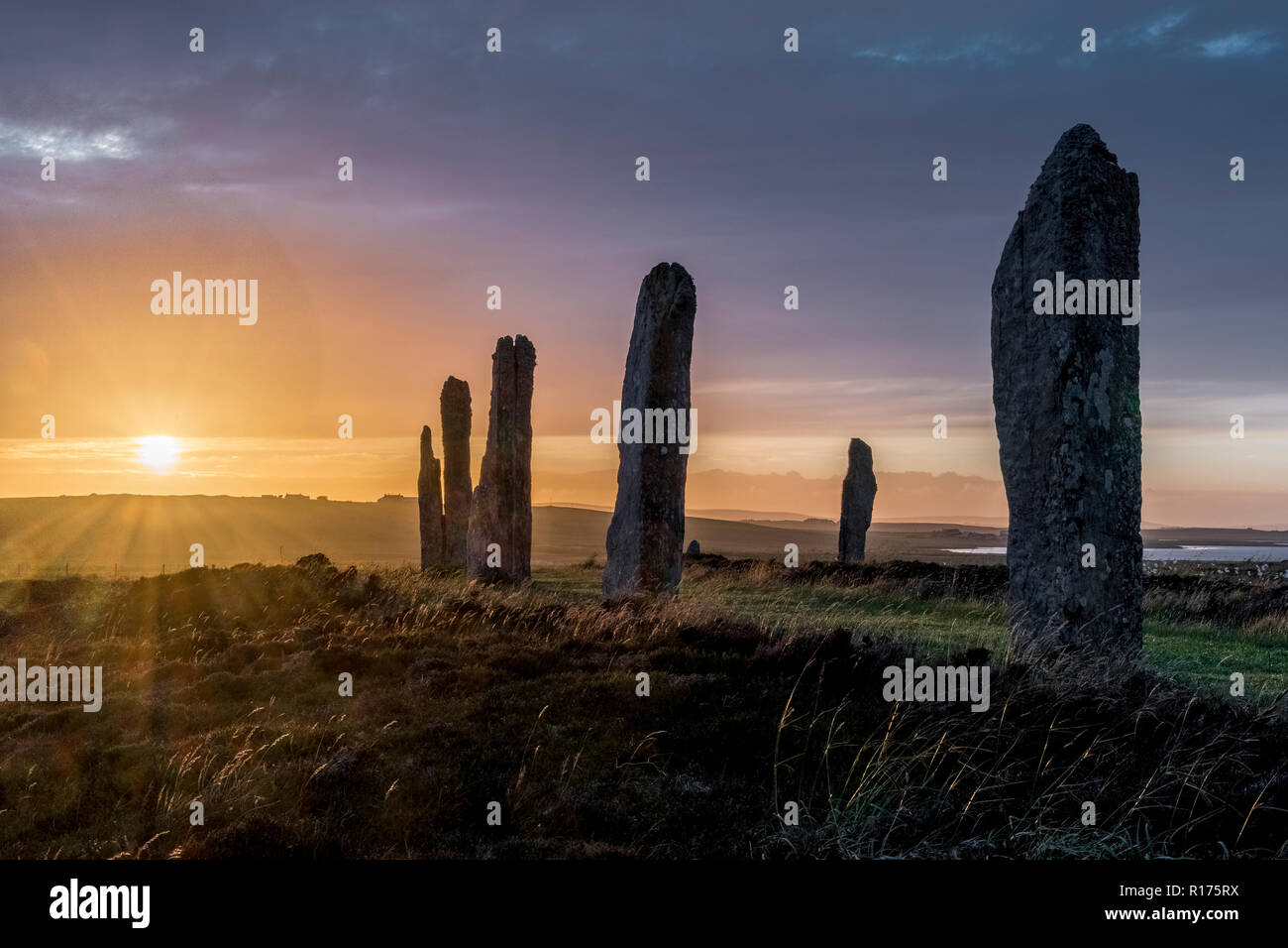 Orkney at Ring of Brodgar neolithic standing stones, stone circle, summer solstice. Stock Photo