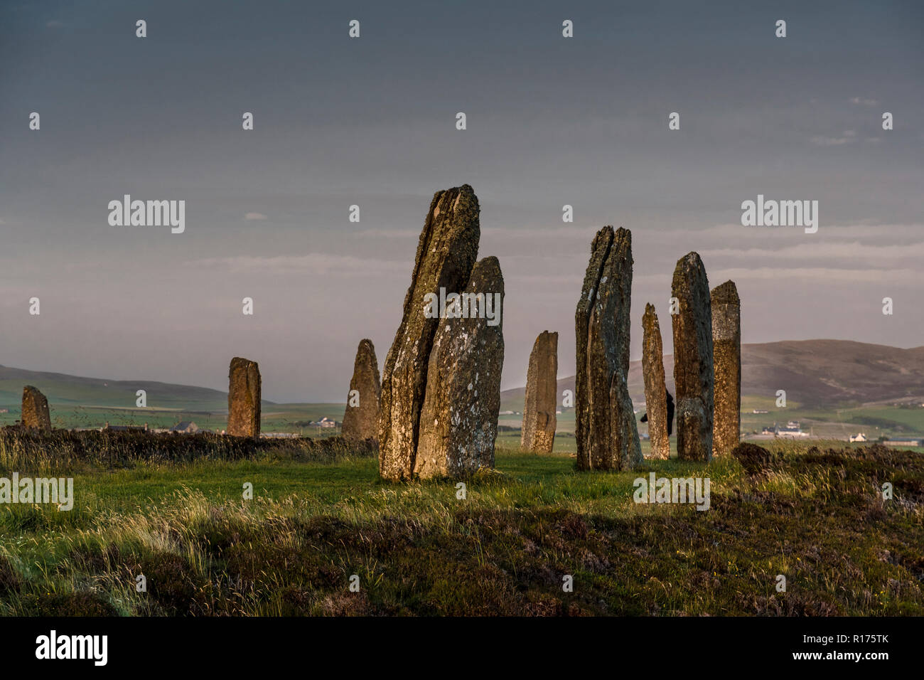 Orkney at Ring of Brodgar neolithic standing stones, stone circle, summer solstice. Stock Photo