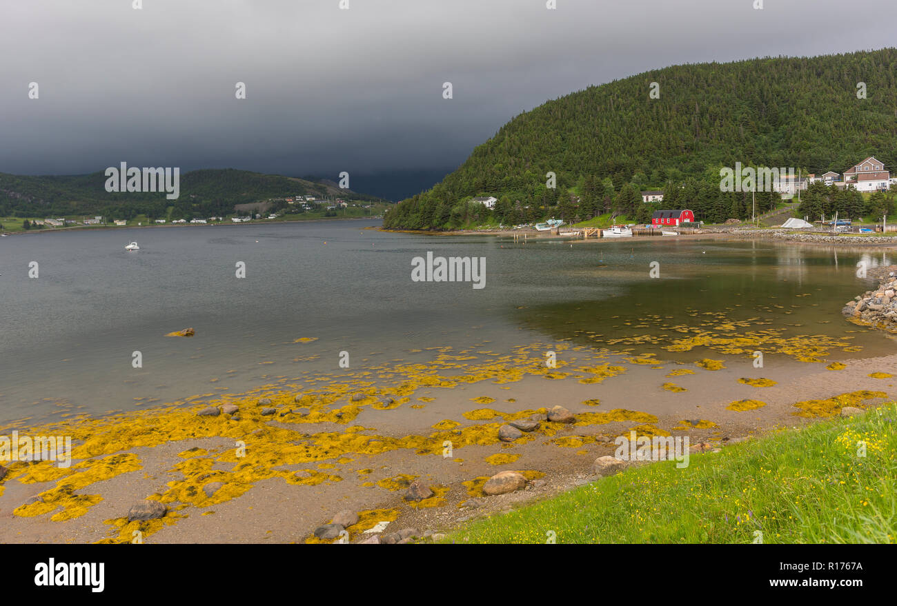 NORRIS POINT, NEWFOUNDLAND, CANADA Waterfront scene Stock Photo Alamy