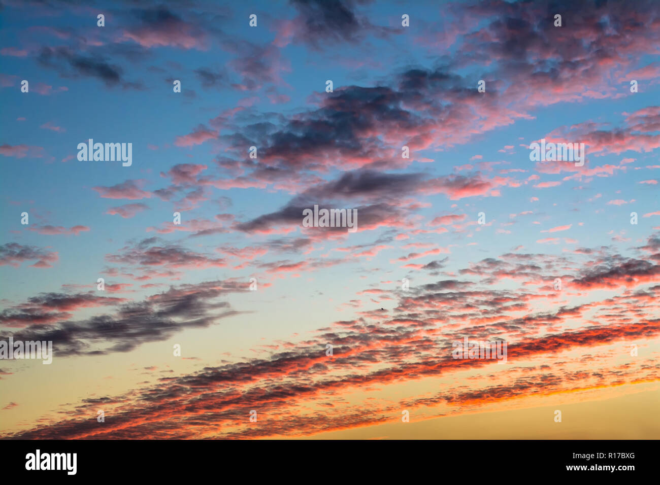 Colorful beautiful bright sunset in the sky with clouds with a gradient ...