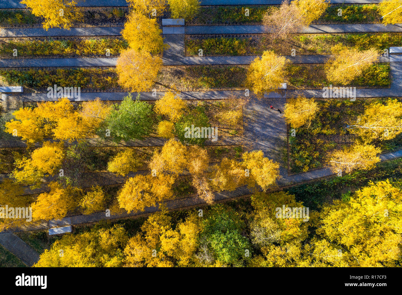 Zollverein Coal Mine in Essen, UNESCO World Heritage, railway track boulevard in Zollverein Park in autumn, Germany Stock Photo