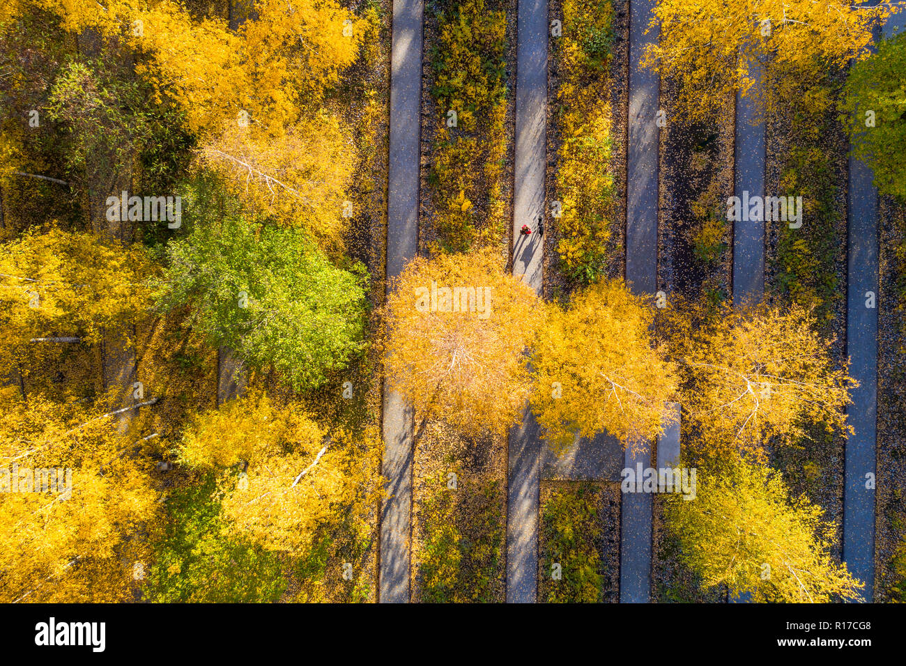 Zollverein Coal Mine in Essen, UNESCO World Heritage, railway track boulevard in Zollverein Park in autumn, Germany Stock Photo