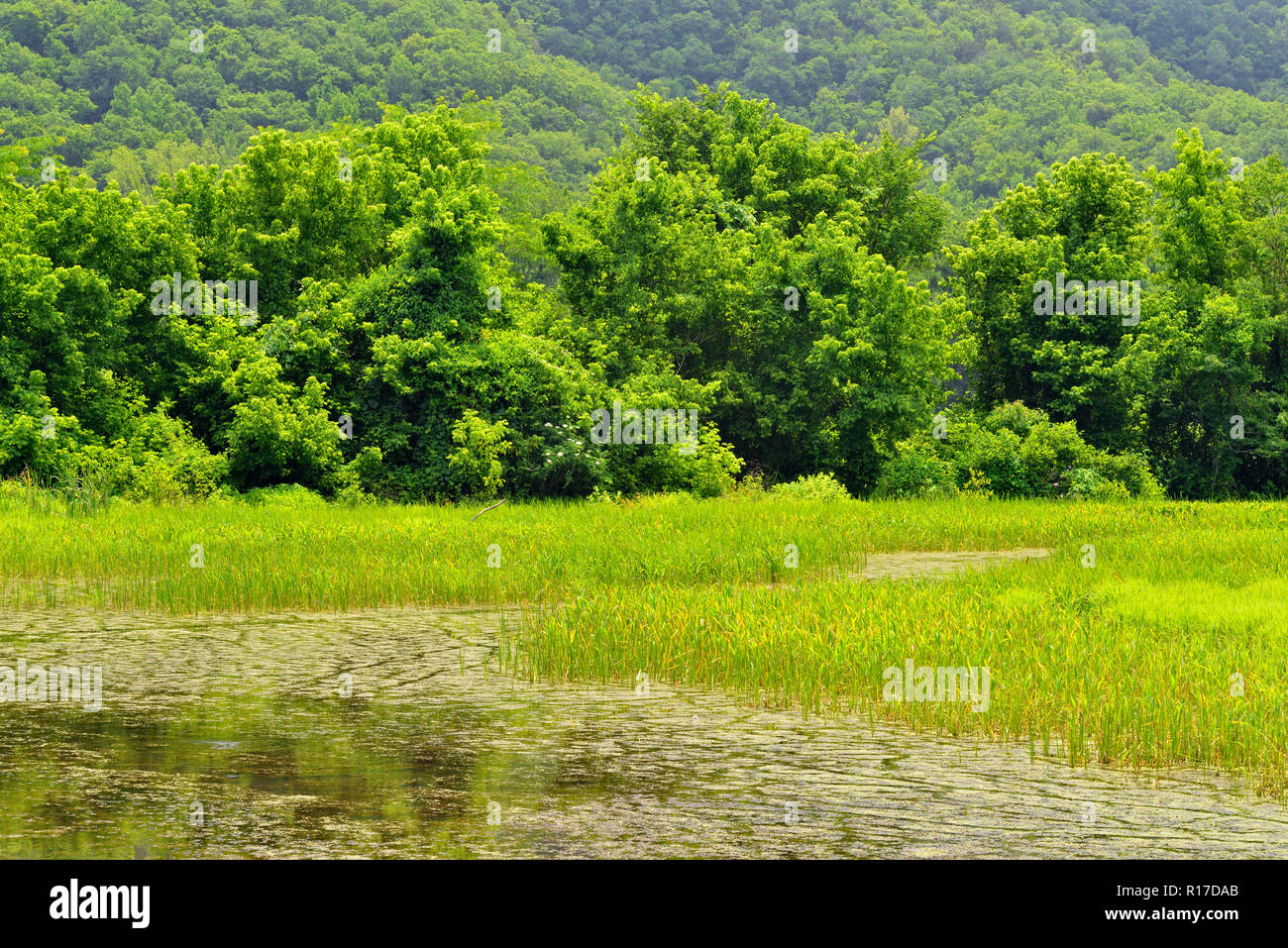 Boxley Valley Mill ponds in summer, Buffalo National River (Ponca Unit), Arkansas, USA Stock Photo
