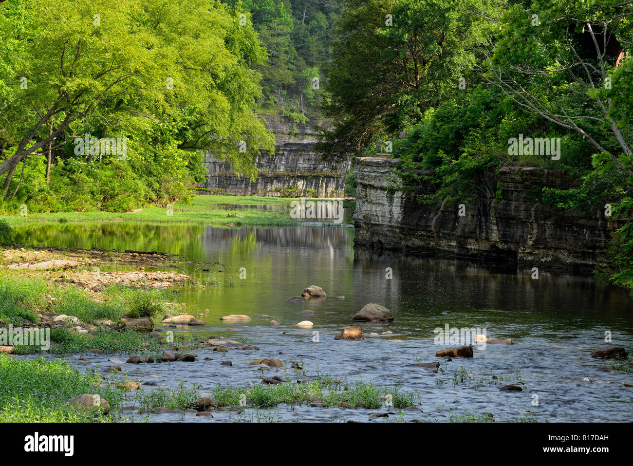 Buffalo National River in summer- low water, Buffalo National River (Ponca Unit), Arkansas, USA Stock Photo