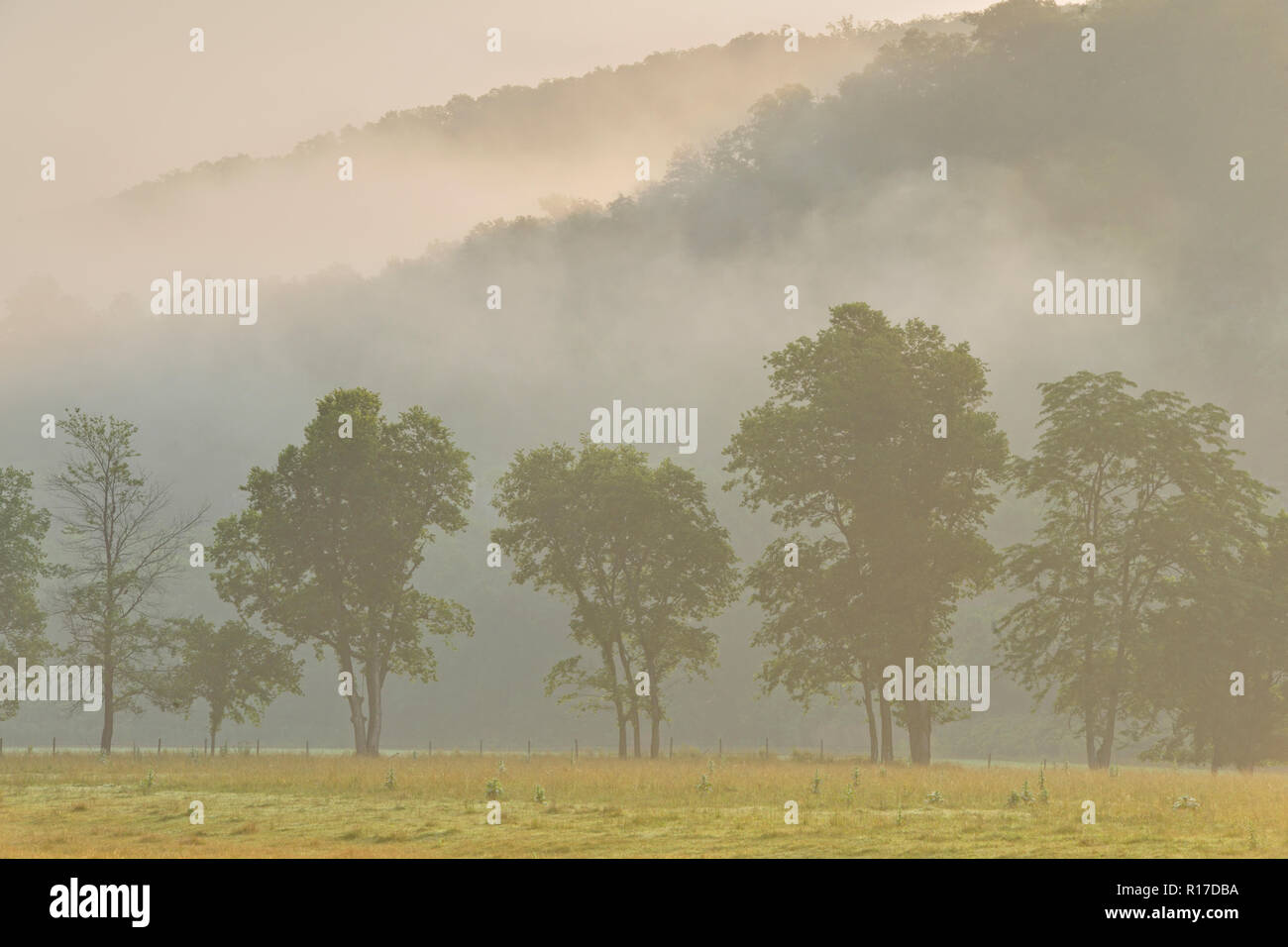 Morning mists in the Boxley Valley pastures at Ponca, Buffalo National River (Ponca Unit), Arkansas, USA Stock Photo