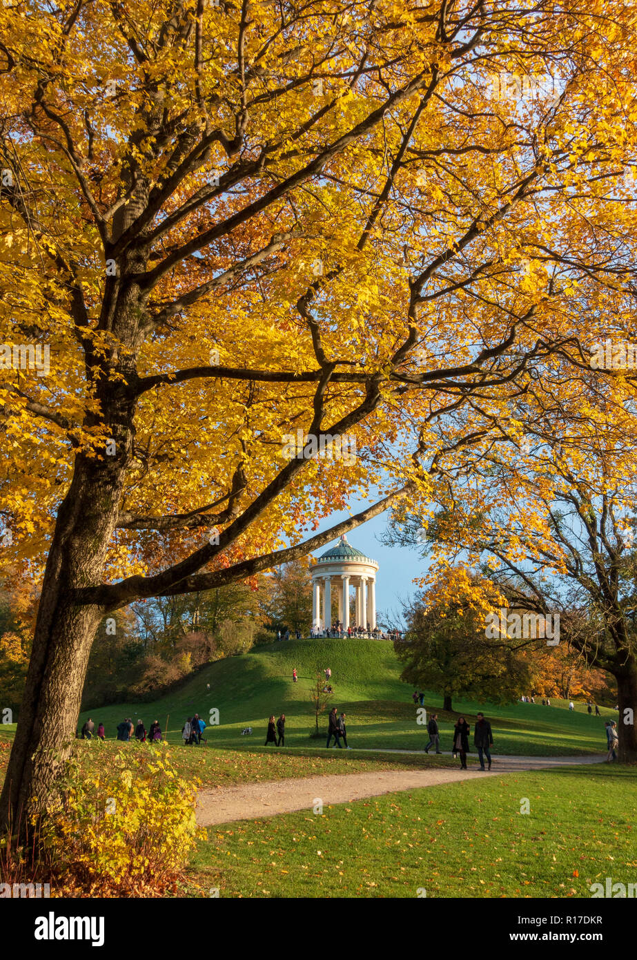 Englischer Garten Park in autumn, Munich, Germany Stock Photo
