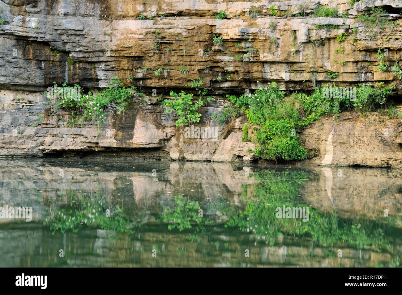 Sandstone bluffs and forest trees along the Buffalo National River in summer, Buffalo National River- Pruitt's Landing, Arkansas, USA Stock Photo