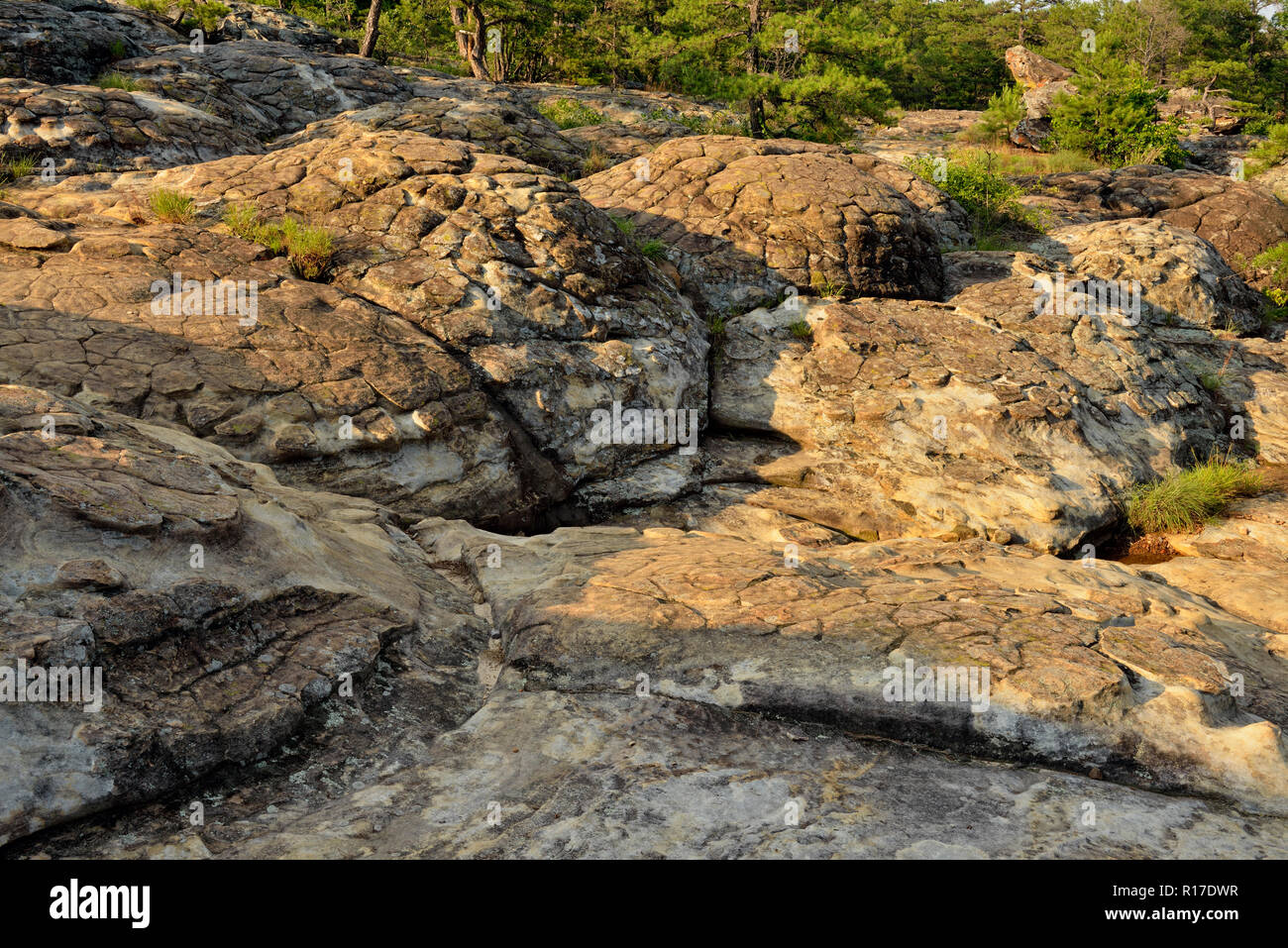 Weathered Hartshorne Sandstone rocks at Rock House Cave- Turtle Rocks, Petit Jean State Park, Arkansas, USA Stock Photo