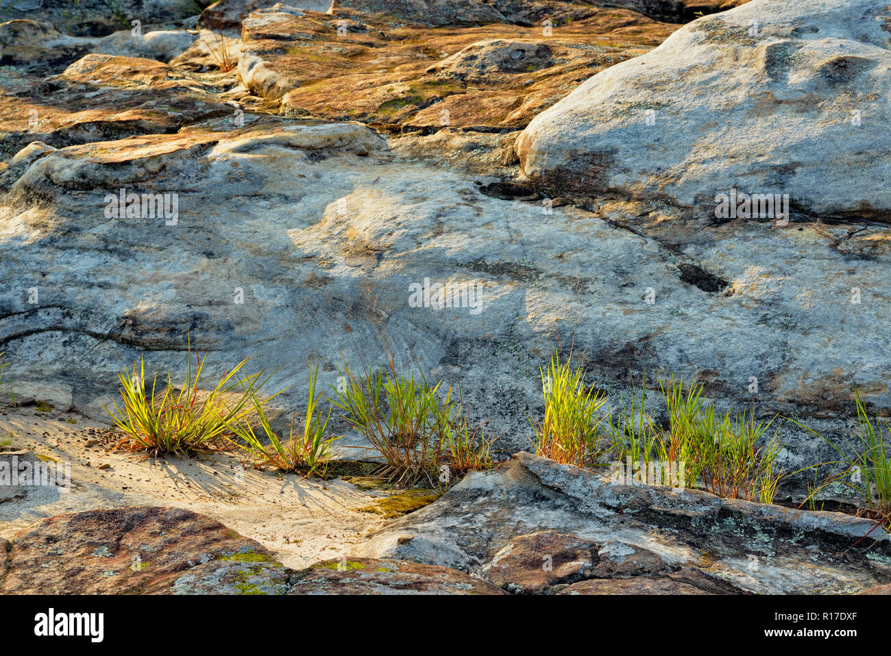 Weathered Hartshorne Sandstone rocks at Rock House Cave Turtle Rocks