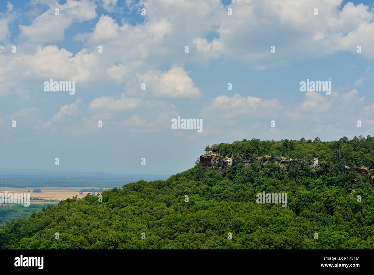 Summer forests from Petit Jean Mountain, Petit Jean State Park