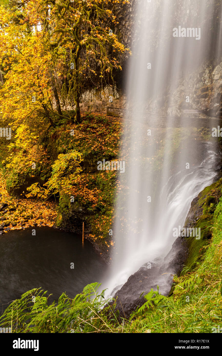 Side view of South Falls flowing in autumn, Silver Falls State Park, Oregon, USA Stock Photo