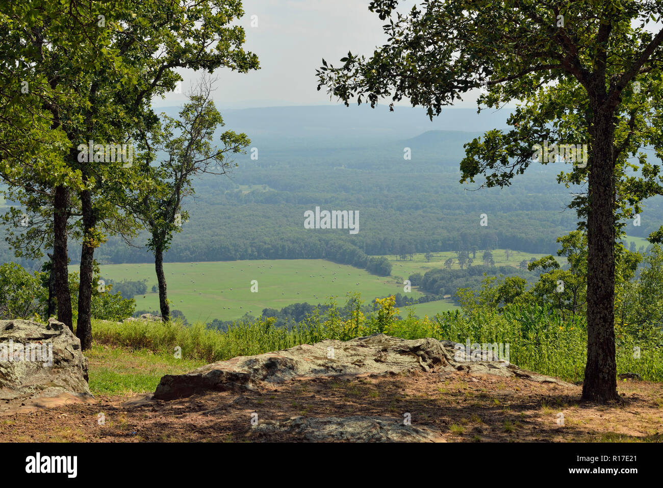 Arkansas River flood plain and farmland from Petit Jean gravesite