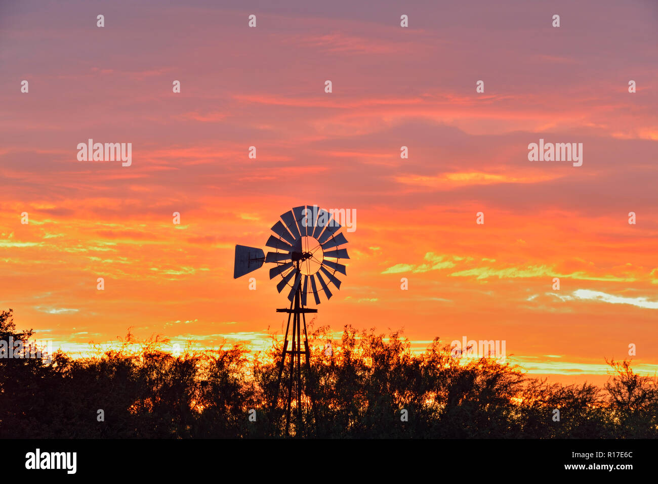 Wind turbine at dawn at Campos Viejos Ranch, Rio Grande City, Texas, USA Stock Photo