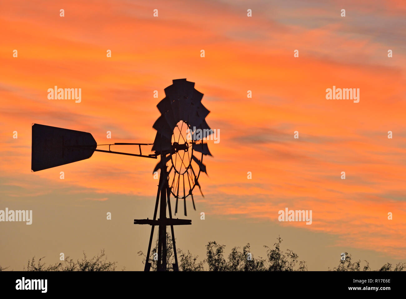 Wind turbine at dawn at Campos Viejos Ranch, Rio Grande City, Texas, USA Stock Photo