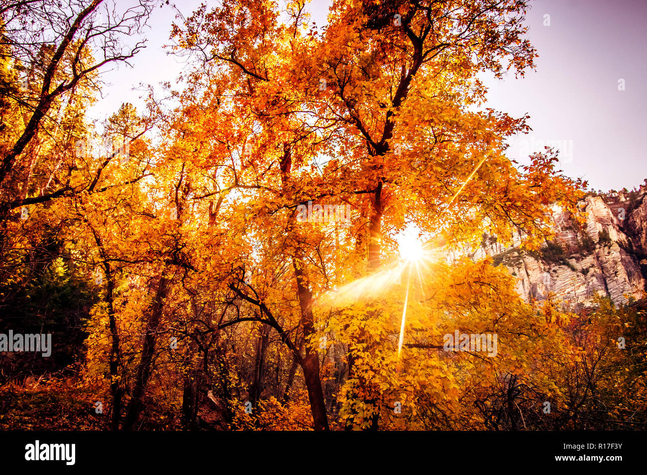 Sedona fall colors hires stock photography and images Alamy