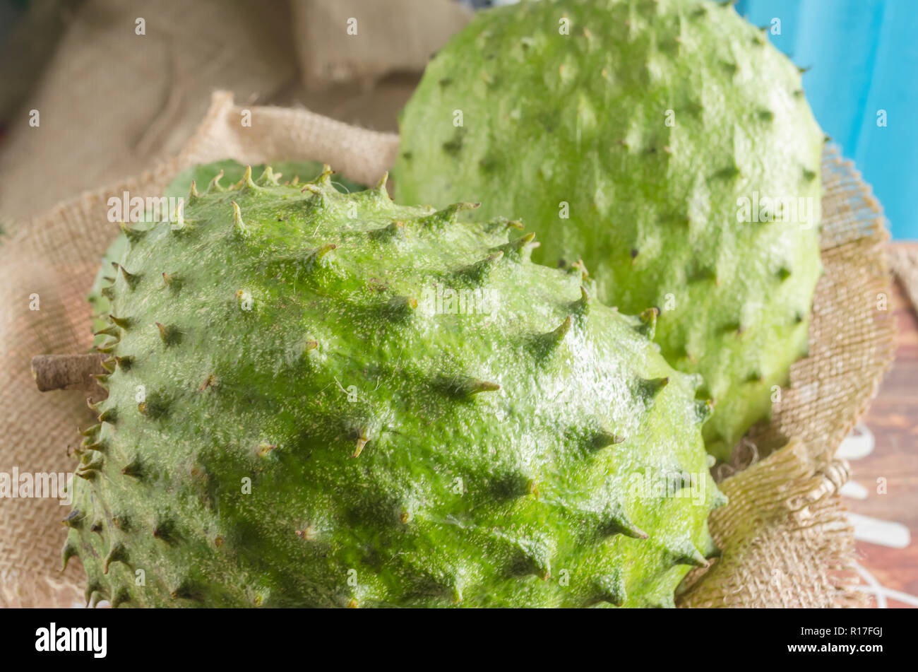 Soursop Also Graviola Guyabano Is The Fruit Of Annona Muricata A Broadleaf Flowering Evergreen Tree Stock Photo Alamy