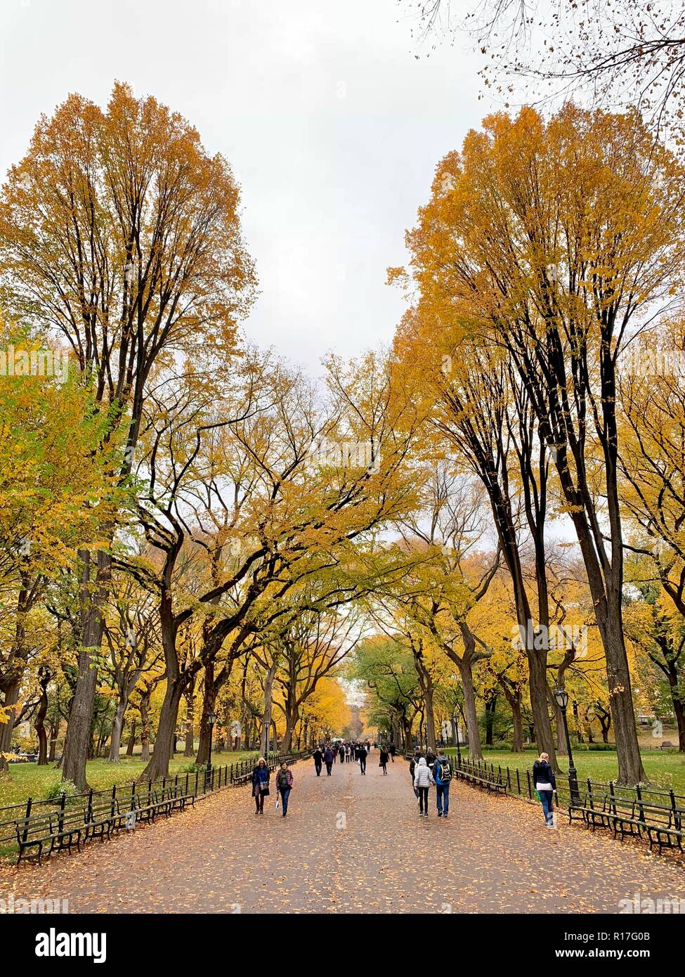 Central Park in the Autumn, NYC Stock Photo - Alamy