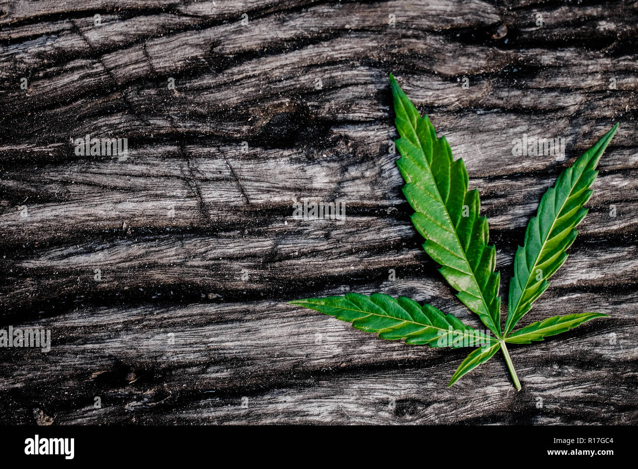 marijuana joint weed smoking close up on background Stock Photo - Alamy
