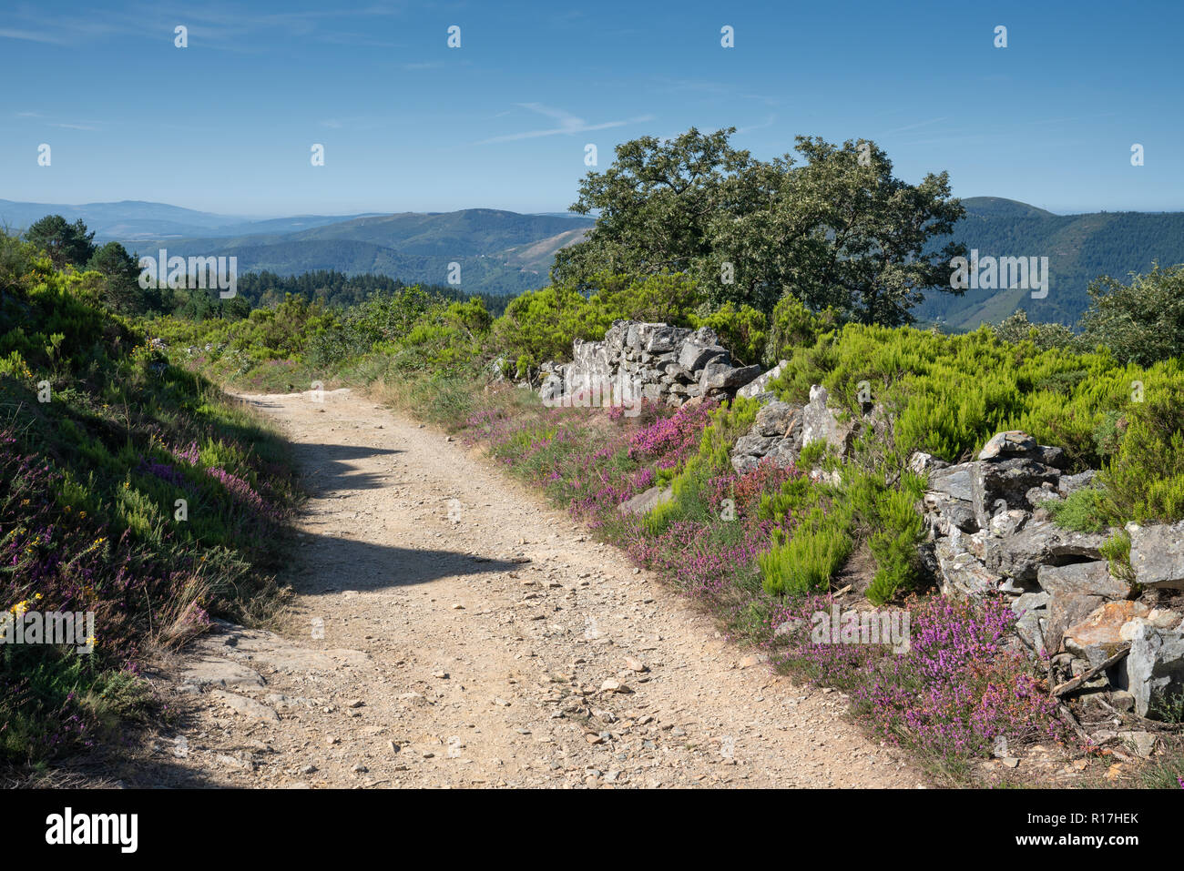 Panoramic landscape along the Camino de Santiago trail between Fonsagrada and O Cadavo, Galicia, Spain Stock Photo