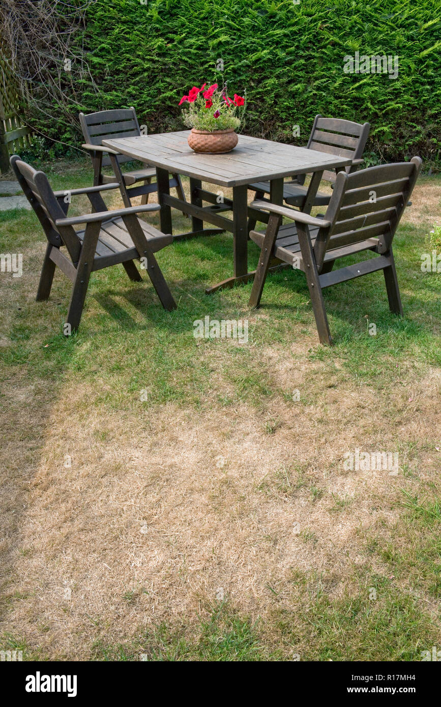 Garden table and chairs on a lawn with dead dry patches during a summer drought, Berkshire, July Stock Photo
