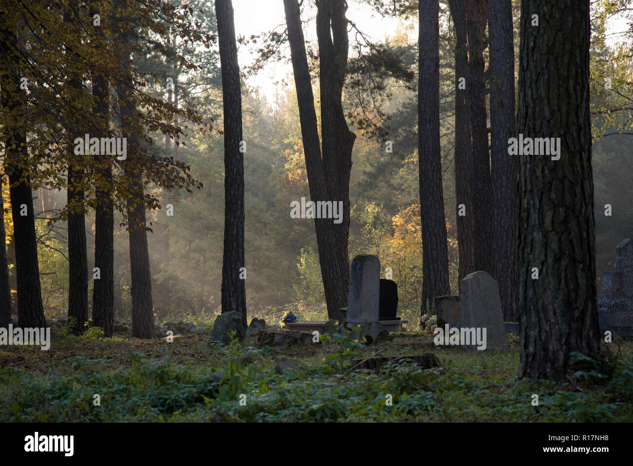 Muslim cemetery, Kruszyniany, burial site, autumn, trees, peace, place