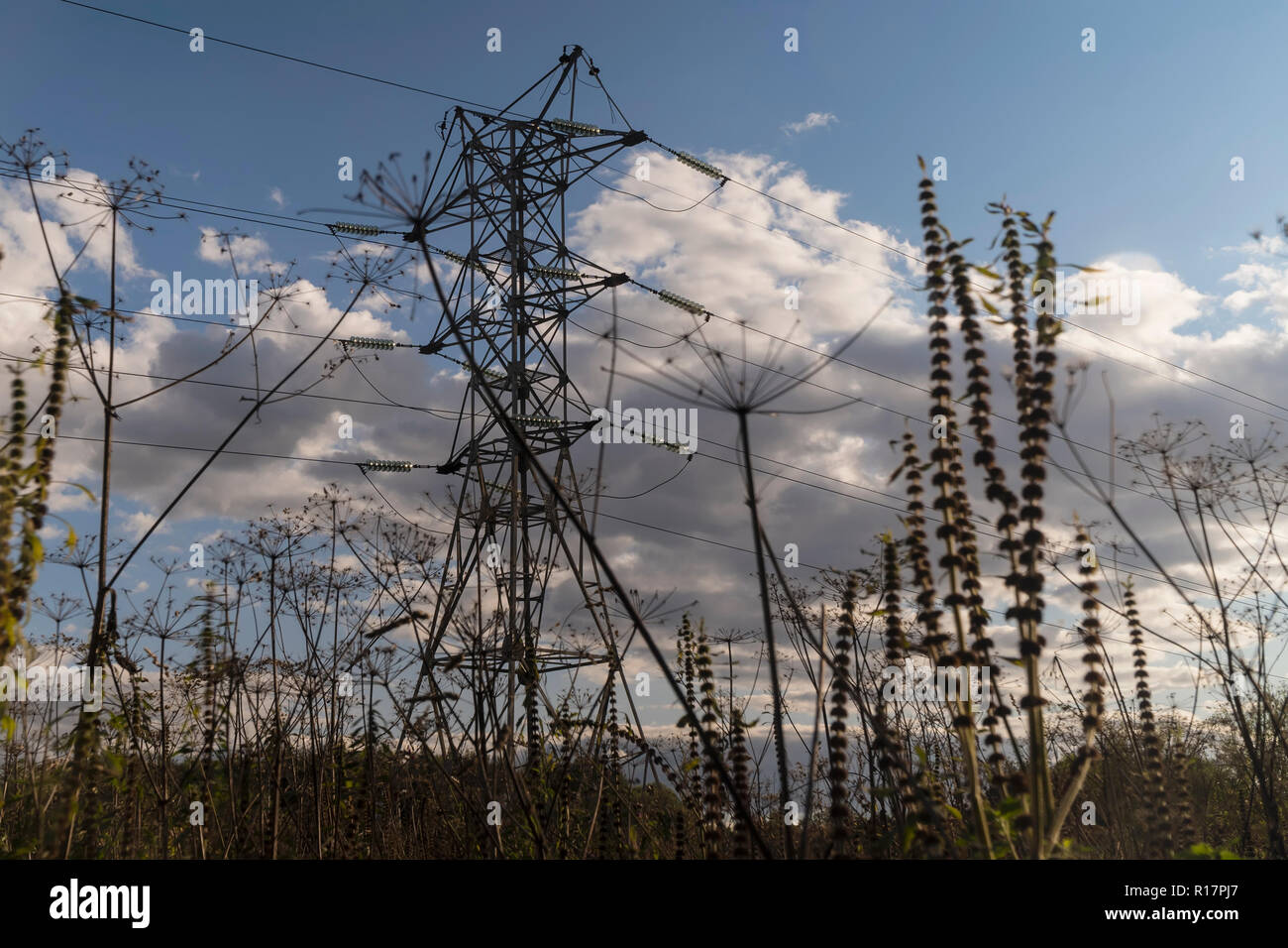 view of the meadow, a cloudy sky and a pillar of the power line Stock ...