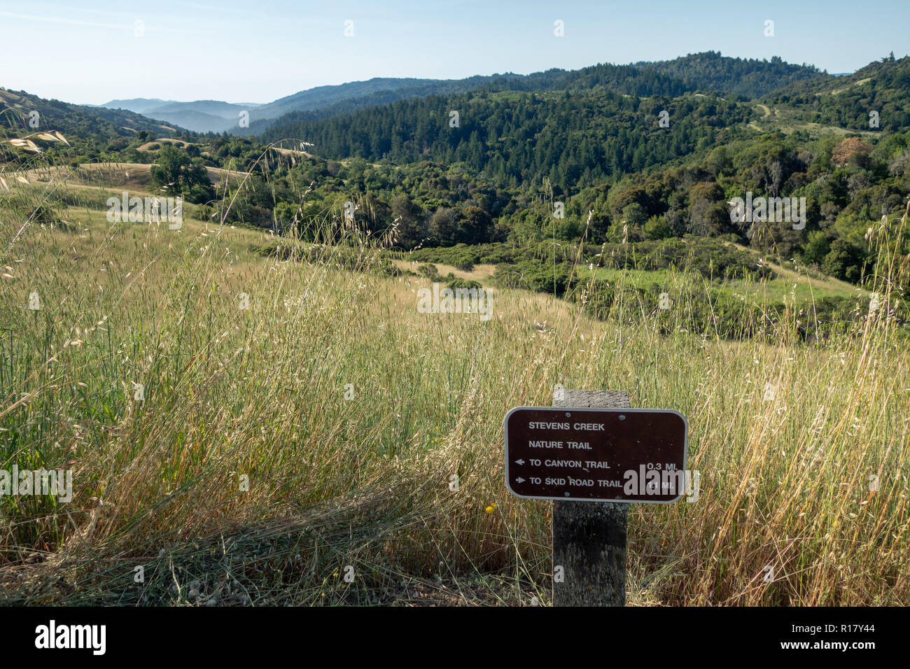 View at Monte Bello Open Space Preserve, Stevens Creek, San Francisco Bay Area, CA Stock Photo