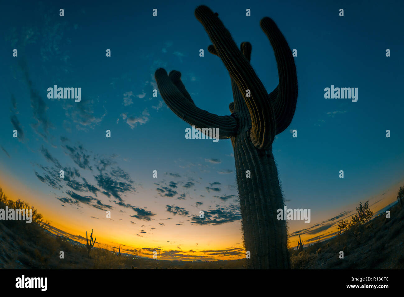 Super wide fish eye lens hi-res stock photography and images - Alamy