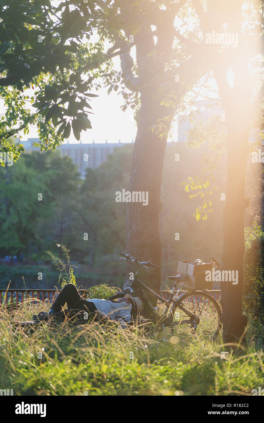 People sleeping in the forest hi-res stock photography and images - Alamy