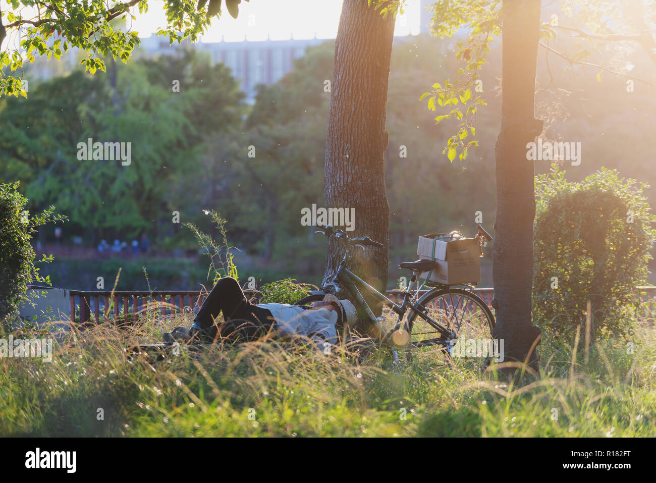 Man sleeping in the forest hi-res stock photography and images - Alamy