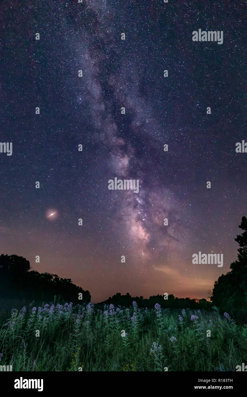 Wildflowers bloom under a midsummer night's sky, adorned with the Milky Way and punctuated with the planet Mars, in Indiana's Brown County State Park. Stock Photo