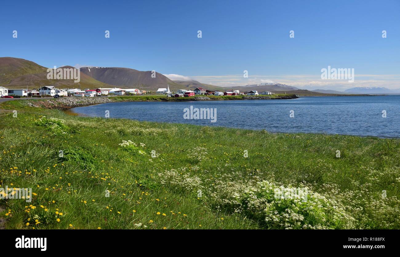 The small town Skagaströnd in Iceland. View with ocean and flowers in the front. Peninsula Skagi. Stock Photo