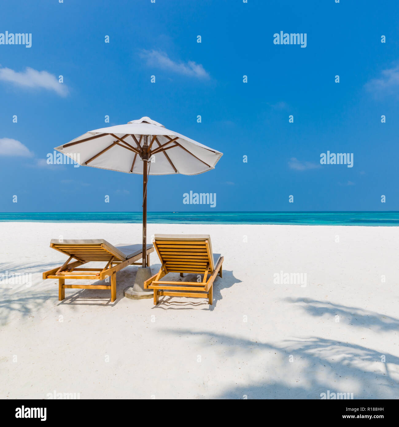 Perfect Couple And Romantic Love Beach Background Two