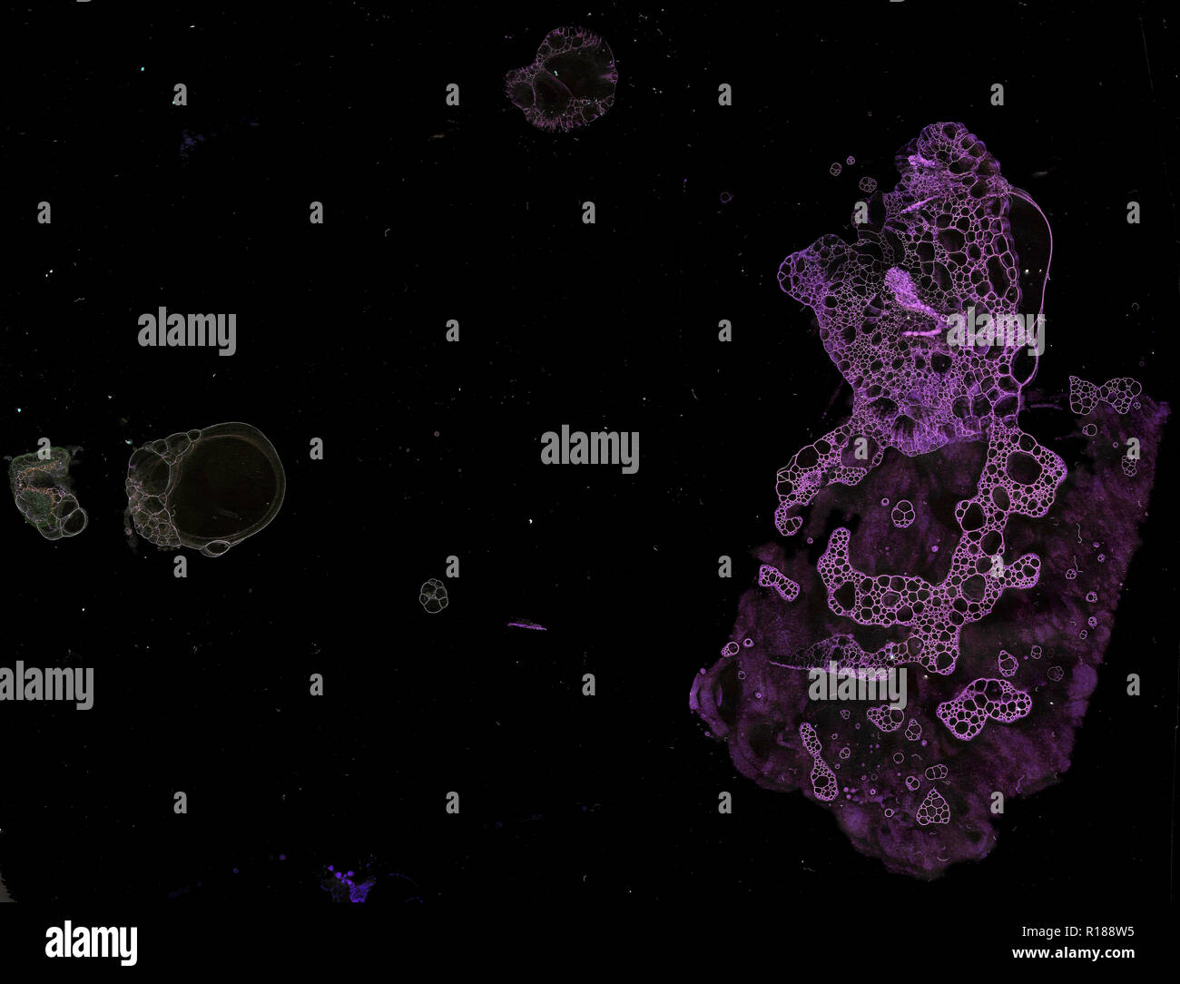 Abstract grunge cellular background against black background Stock ...