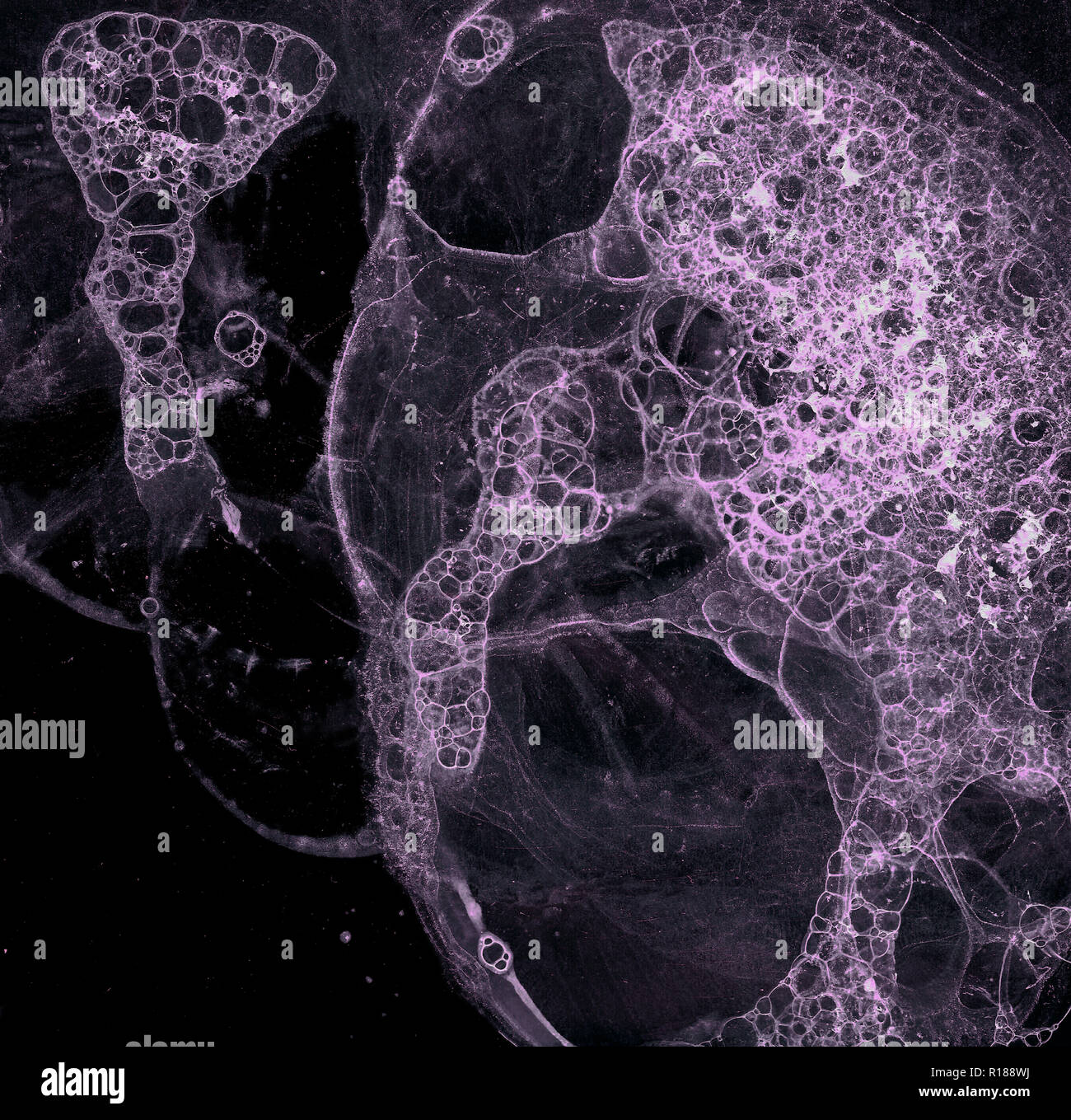 Abstract grunge cellular background against black background Stock ...