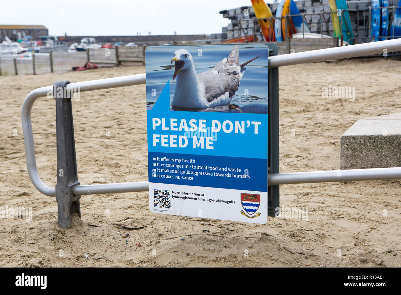 Don't feed the seagull sign in Lyme Regis, West Dorset. Stock Photo