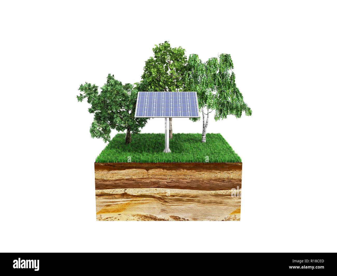 Soil cross section tree roots hi-res stock photography and images - Alamy