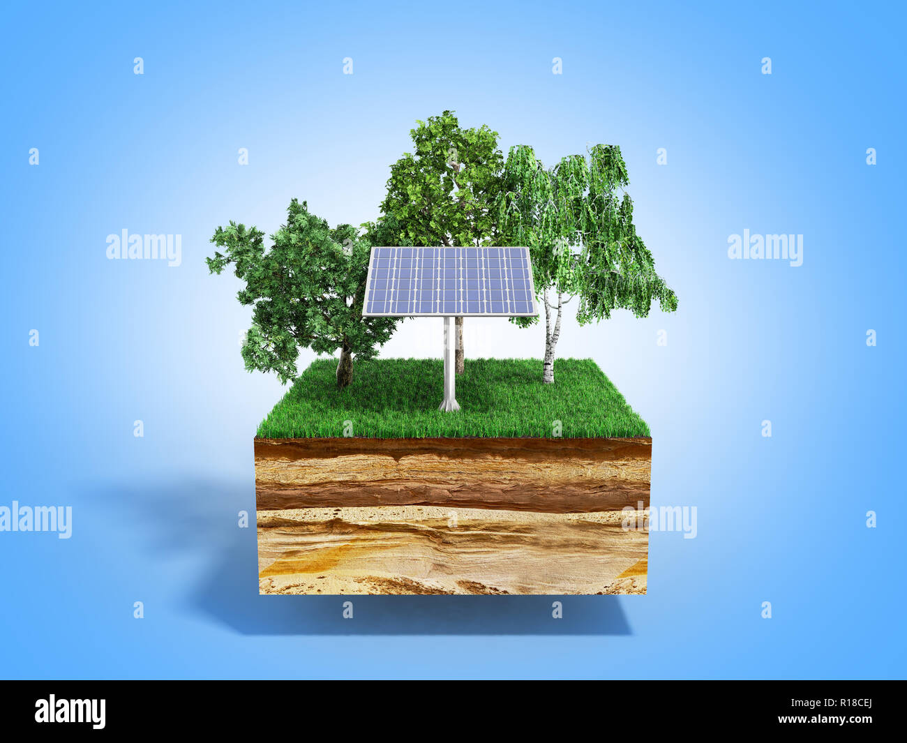 Soil cross section tree roots hi-res stock photography and images - Alamy